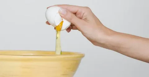 تصویر 2 از قیمت خرید سفیده تخم مرغ کیلویی + فروش ویژه